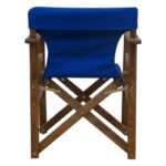 TORINO ΚΑΡΥΔΙ ΣΚΗΝΟΘΕΤΗ ΜΕ ΜΠΛΕ ΥΦΑΣΜΑ 59.5X53X45.5-86.5εκ. - Image 3