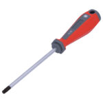 Κατσαβίδι Torx CR-V T30x100mm - 1 τεμ.