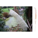Κλαδί Γρασίδι ArteLibre Τεχνητό Εκρού 120cm - 1 τεμ. - Image 2