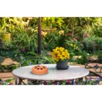 Σετ Σπείρες Citronella Σε Δοχείο Τερακότα 7Τμχ ARTI CASA - 1 τεμ. - Image 7