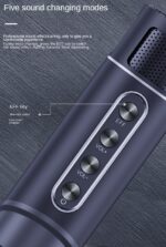 Ασύρματο ηχείο Bluetooth με 2 μικρόφωνα Karaoke - YS215 - 887271 - Grey - Image 3