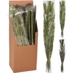 Φύλλα ArteLibre Khajur 95-100cm Δεμένα Σε Χάρτινη Θήκη 36Τμχ Σε 3 Ποικιλίες - 1 τεμ.