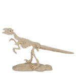 Παιχνίδι Κιτ Ανασκαφής Δεινόσαυρου 4.5x18cm Σε 6 Σχέδια - 1 τεμ. - Image 8