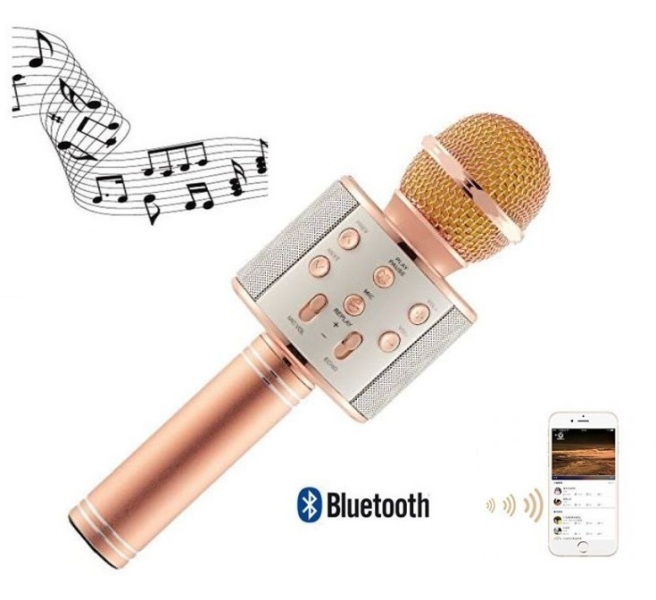 CREATOR: gd-jpeg v1.0 (using IJG JPEG v62), quality = 80 Ασύρματο bluetooth μικρόφωνο με ενσωματωμένο ηχείο και καραόκε WS-858 8135 OEM - Image 1