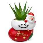 Γλαστράκι με Λουλούδια, Merry Christmas Άγιος-Μπότα 11x9cm Xmasfest 1134161 - 6 τεμ.